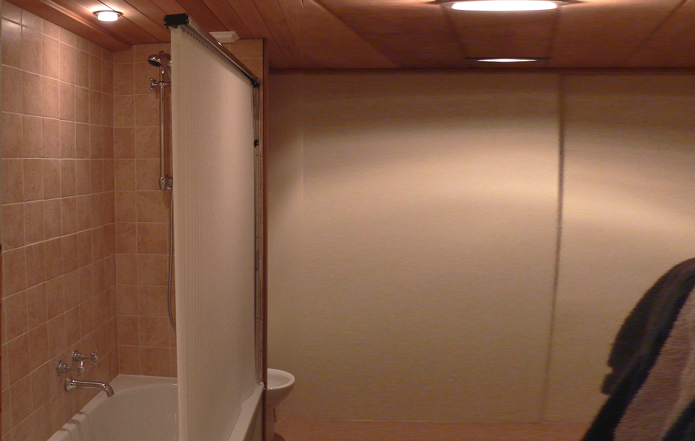 shower curtain2 - Shower Curtains